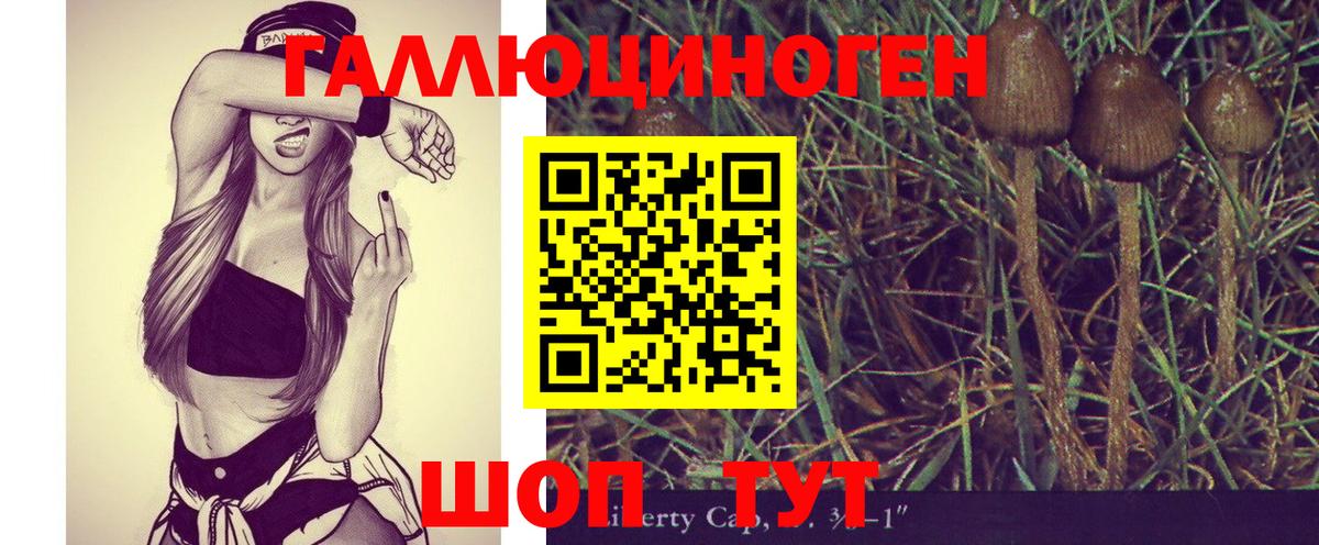 Ржев  Галлюциногенные грибы GOLDEN TEACHER  Галлюциногенные грибы MAGIC MUSHROOMS  Вход с VPN 