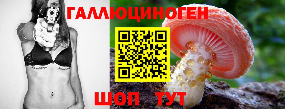 Галлюциногенные грибы Cubensis Ржев
